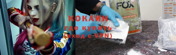 мдпв Вяземский