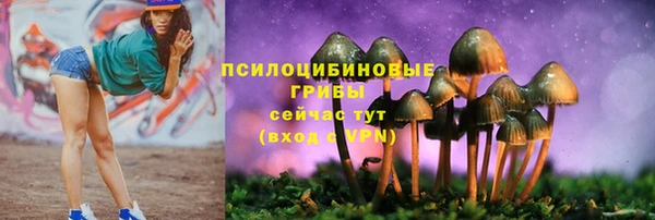 мдпв Вяземский