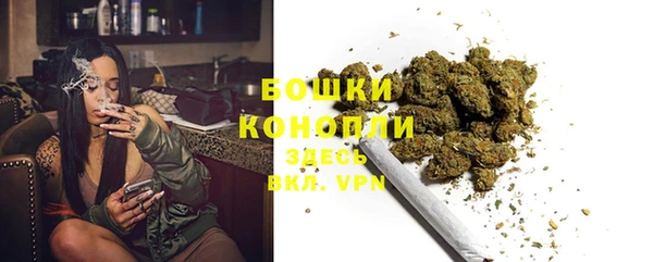 мдпв Вяземский