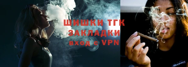 мдпв Вяземский