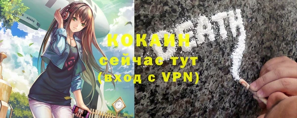 мдпв Вяземский