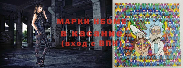 мдпв Вяземский