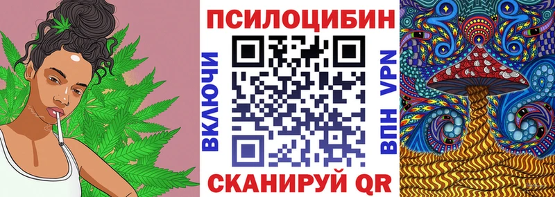 купить   Ревда  KRAKEN вход  Галлюциногенные грибы Cubensis 